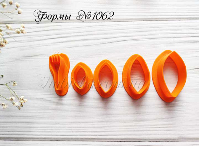 Формы лепесток и листья жимолости