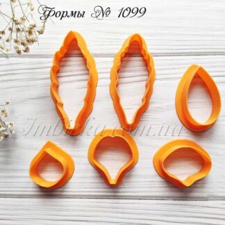 Формы анютины глазки и листья брунии