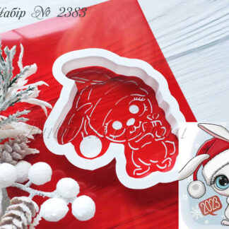 Набор зайка с подарком