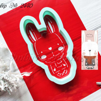 Набор зайчик с шарфиком