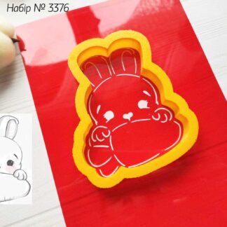 Набор зайчик с морковкой 4