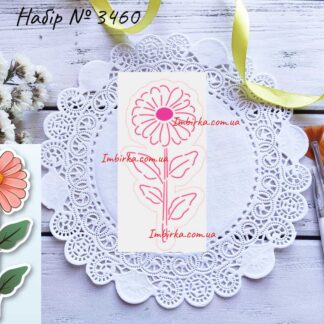 Набор ромашка 5