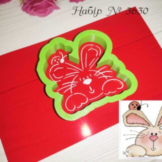 Набор зайчик с божьей коровкой