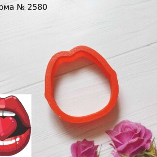 Формочка губки 2