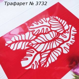 Трафарет листья монстеры