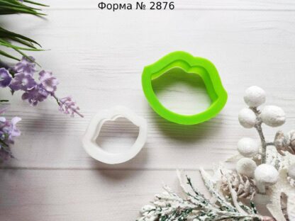 Форма губки 2