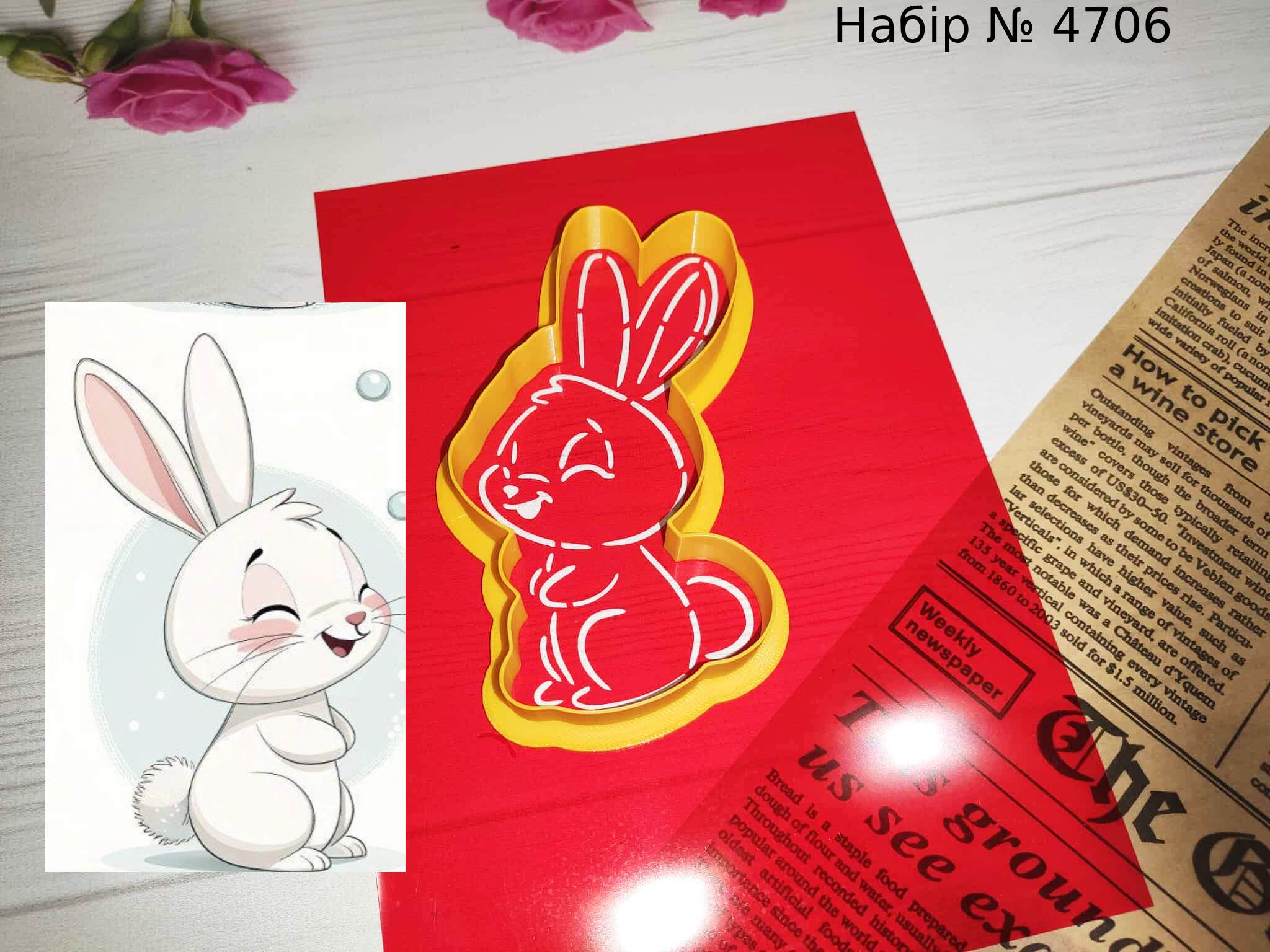 Набор зайка 23