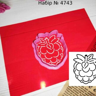 Набор малина