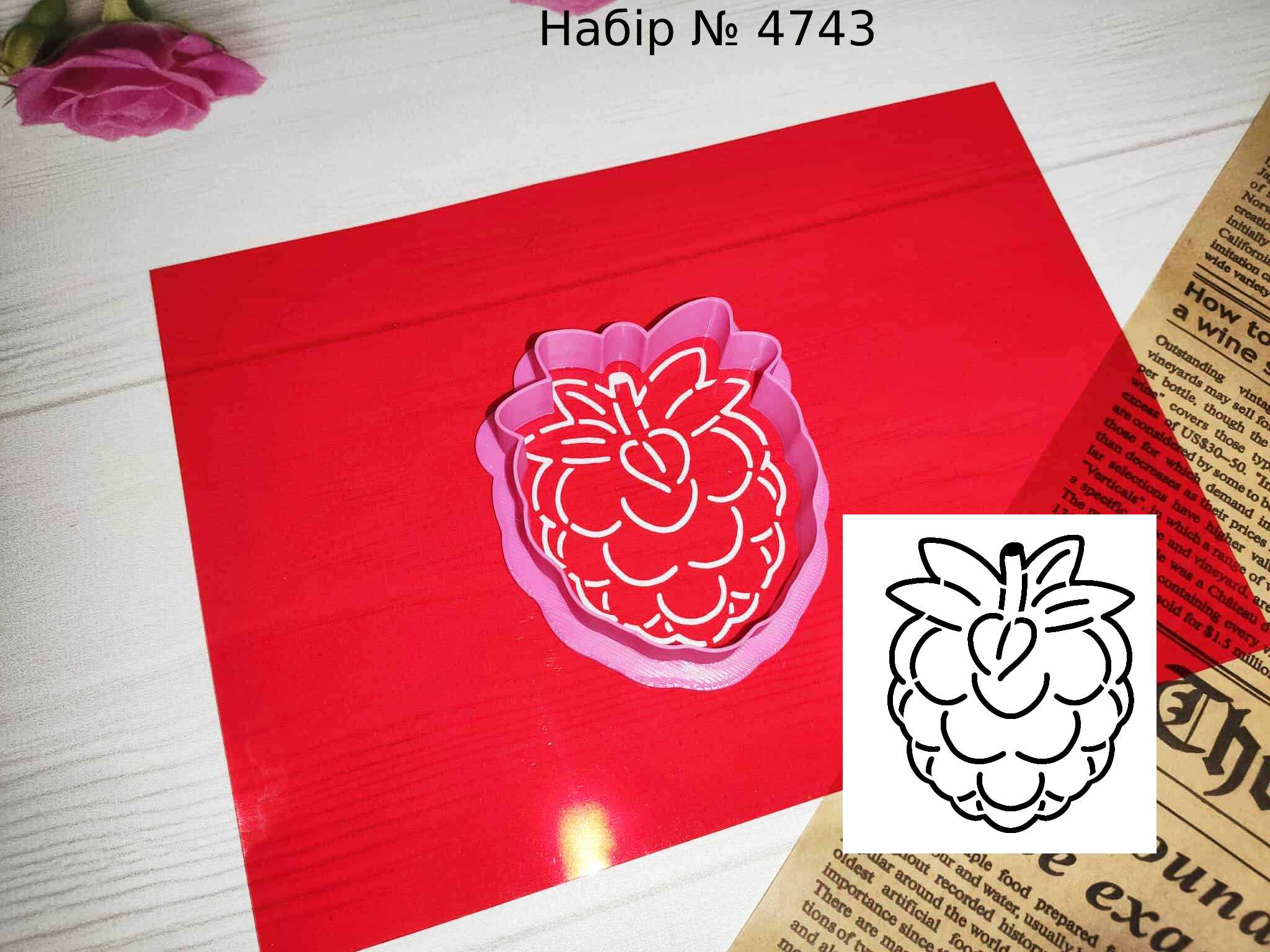 Набор малина