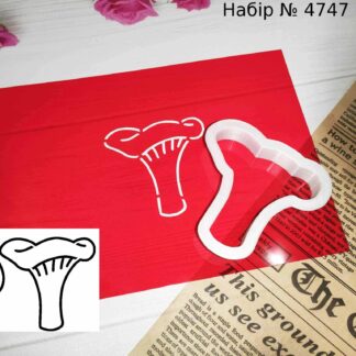 Набор гриб 3