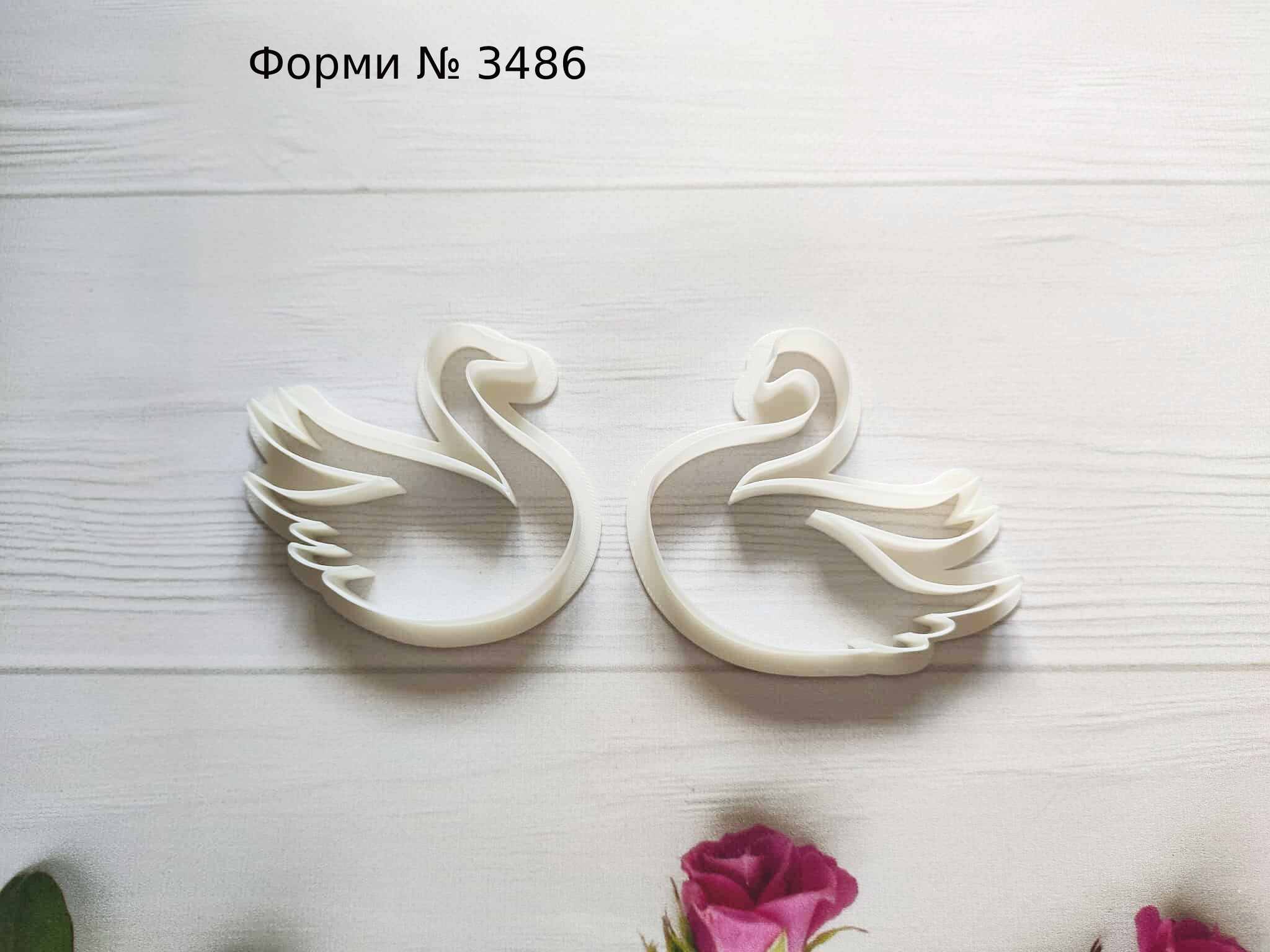 Формы лебеди 2