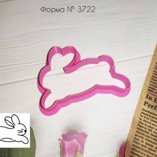 Вырубка зайка 6