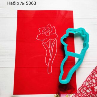 Набор нарцисс 5